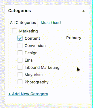 Primary SEO Category